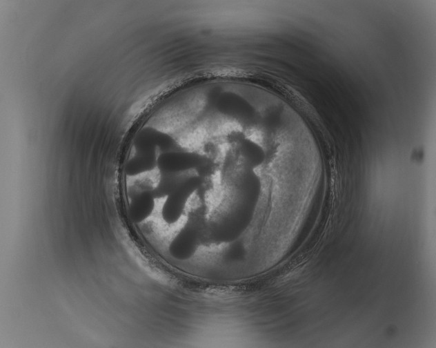 X0000114720725200911181403