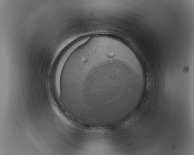 X0000114720726200911181403