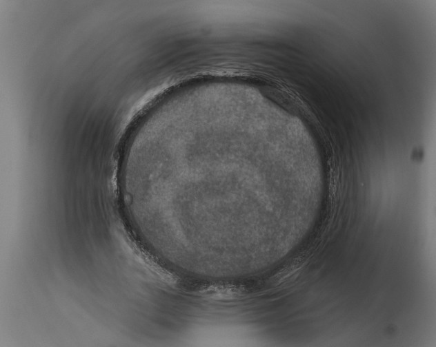 X0000114720727200911181403