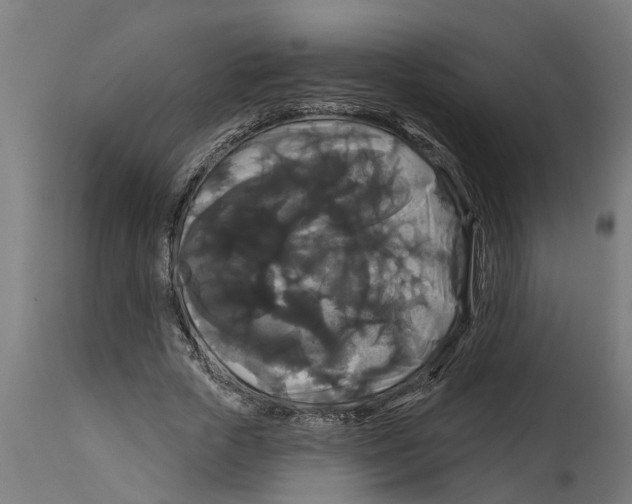 X0000114720729200911181403