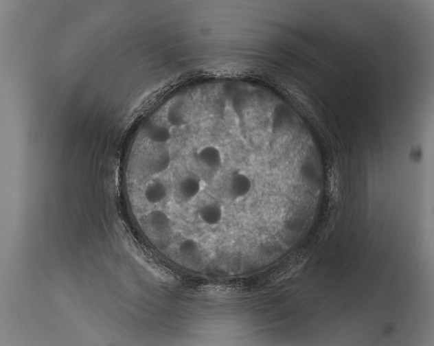 X0000114720733200911181404