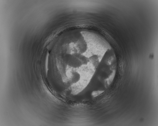 X0000114720734200911181404