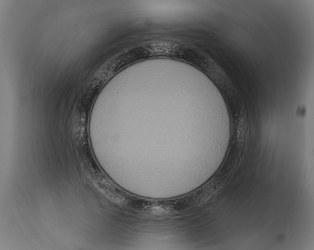 X0000114720737200911181404