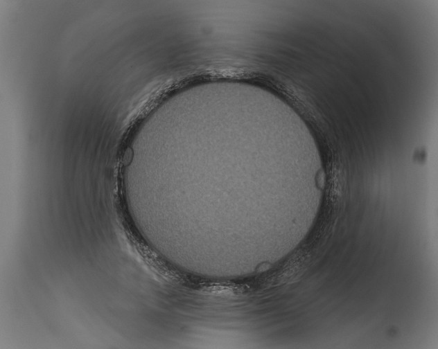 X0000114720738200911181404