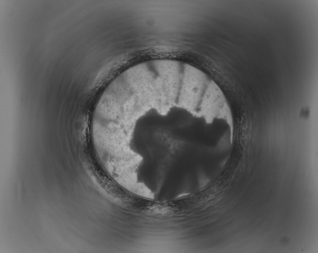 X0000114720742200911181404