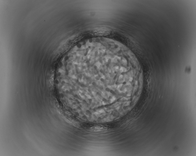 X0000114720745200911181404