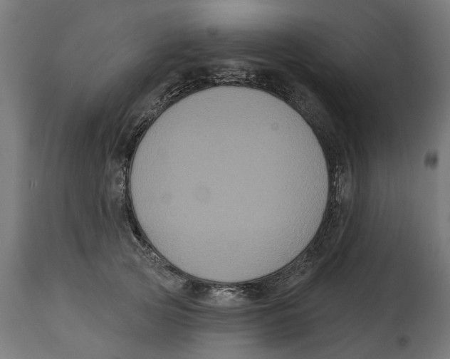 X0000114720753200911181404