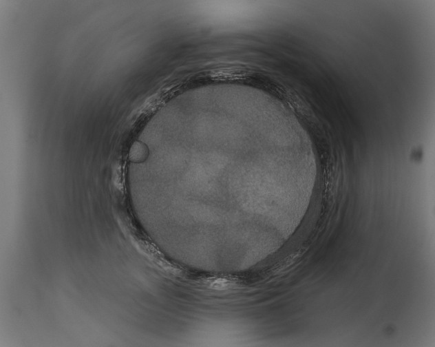 X0000114720755200911181404