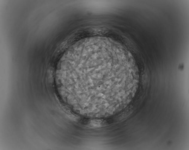 X0000114720757200911181404