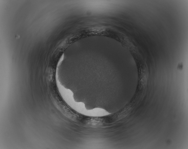 X0000114720758200911181404