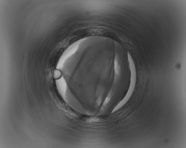 X0000114720759200911181404