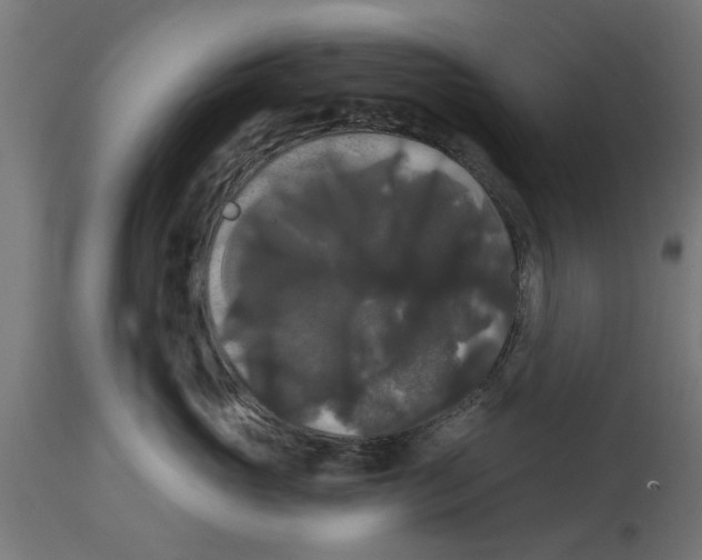 X0000114720765200911181404