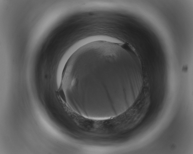 X0000114720766200911181404