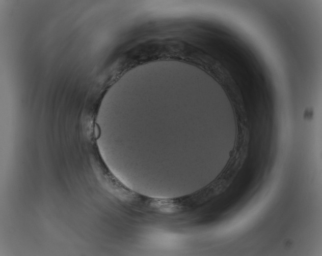 X0000114720767200911181404