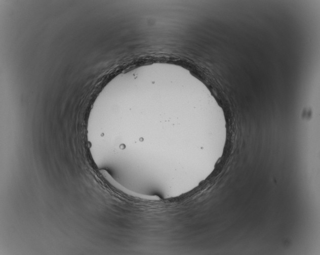 X0000114720769200911181403