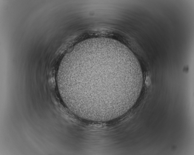 X0000114720771200911181403