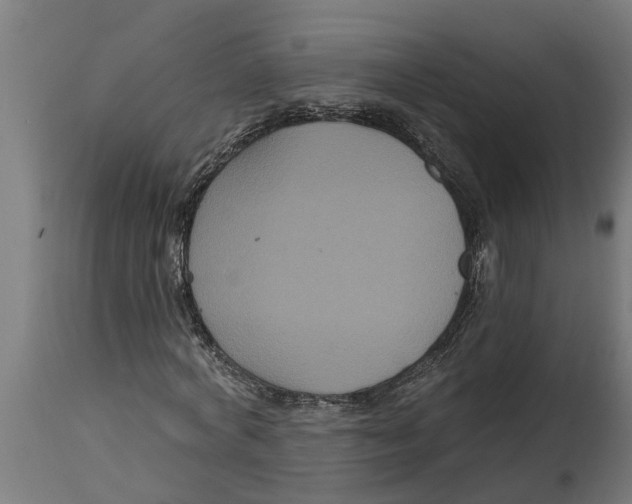 X0000114720772200911181403