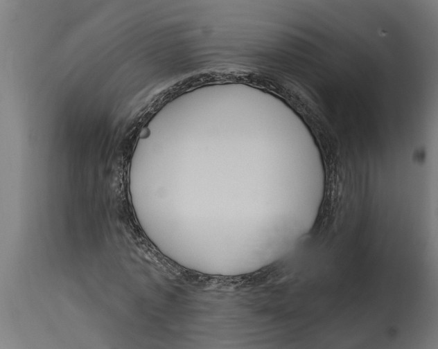 X0000114720773200911181403