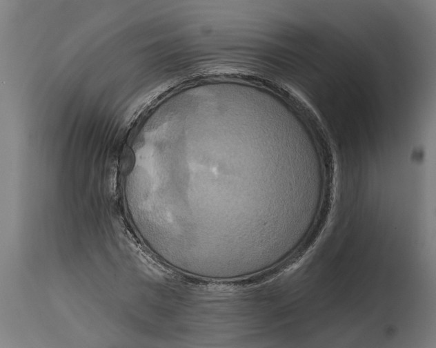 X0000114720777200911181403