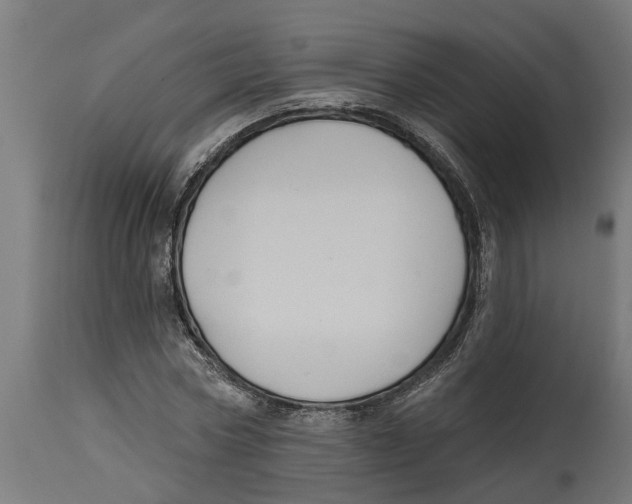 X0000114720778200911181403