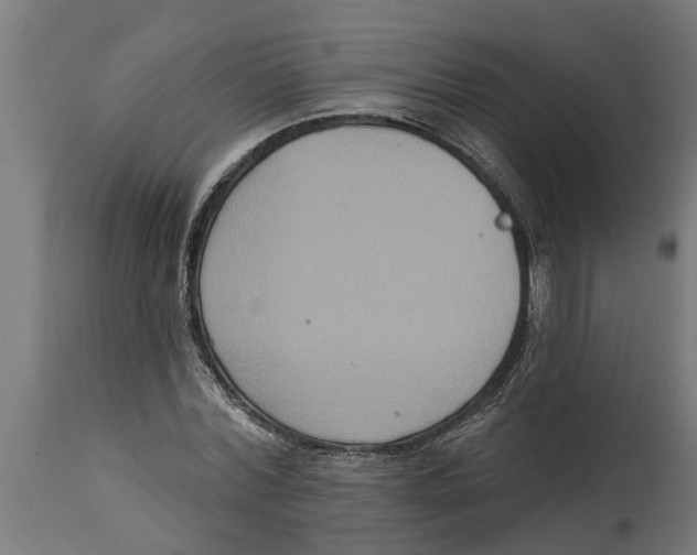 X0000114720780200911181403