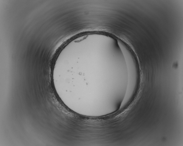 X0000114720781200911181403