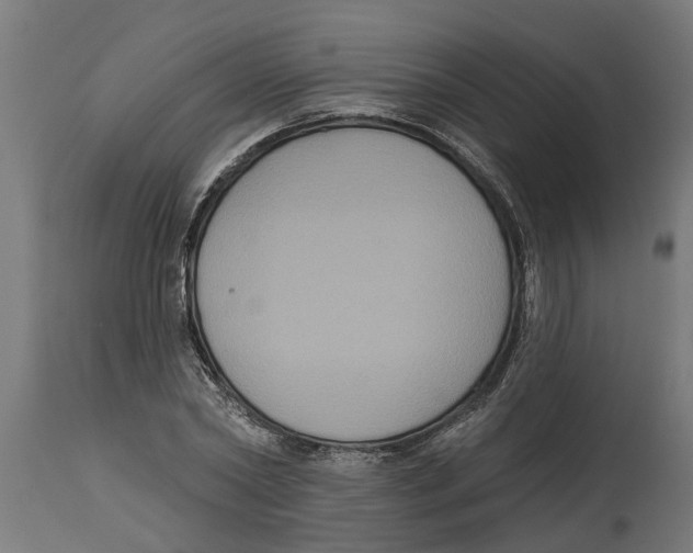 X0000114720782200911181403