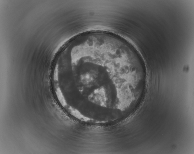 X0000114720783200911181403