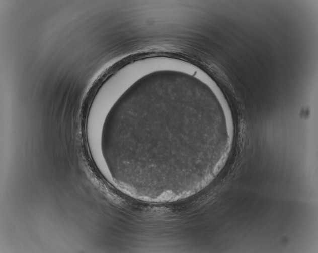 X0000114720784200911181403