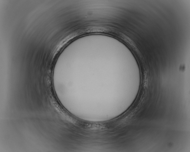 X0000114720786200911181403