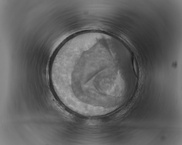 X0000114720788200911181403