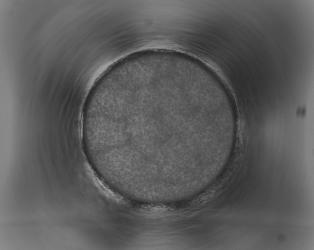 X0000114720791200911181403