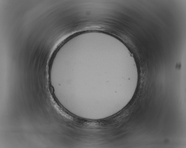 X0000114720792200911181403