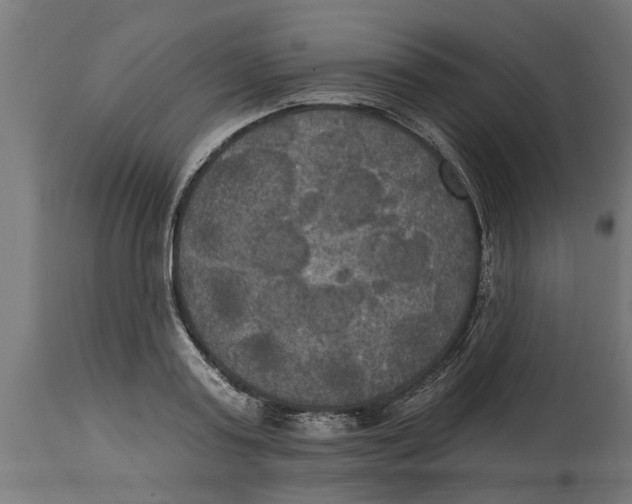 X0000114720795200911181403