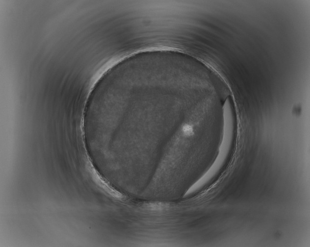 X0000114720797200911181403