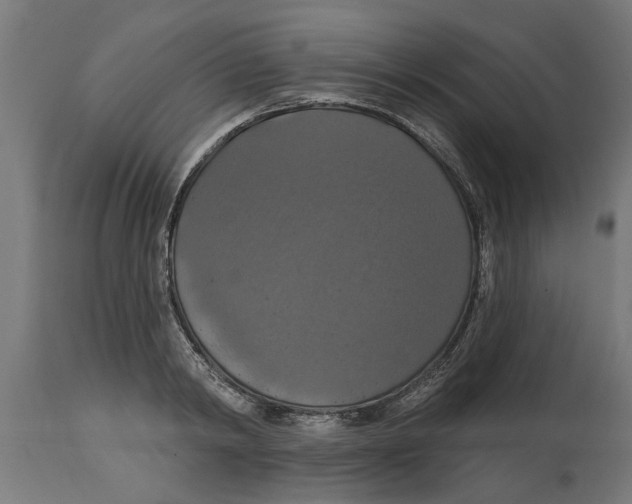 X0000114720798200911181403