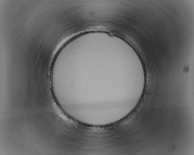 X0000114720800200911181403