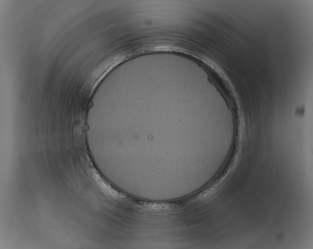 X0000114720801200911181403