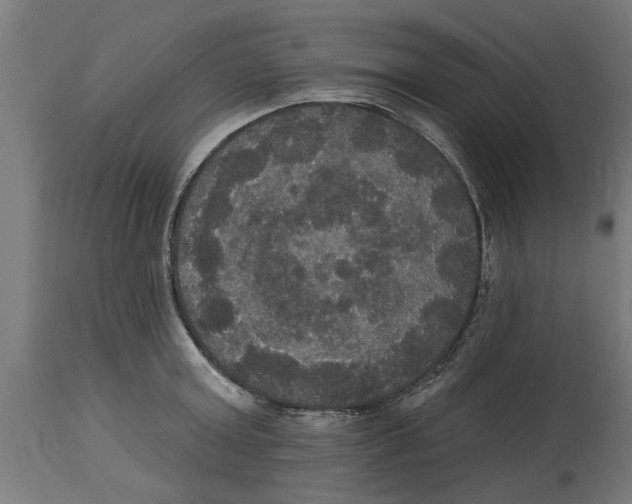 X0000114720803200911181403