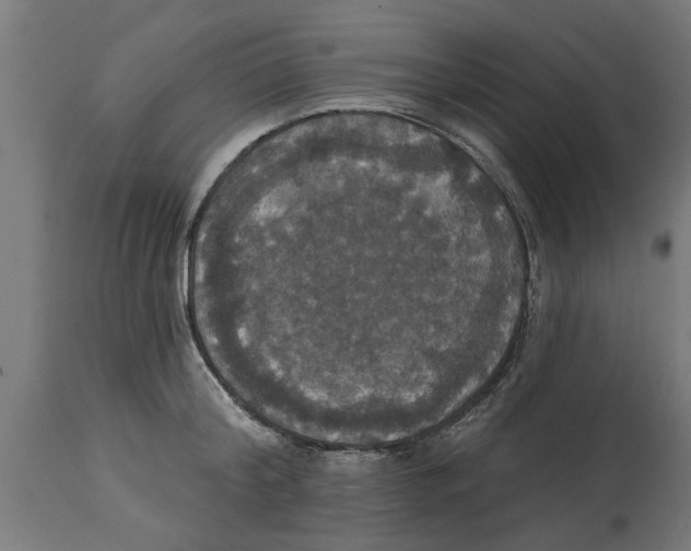 X0000114720804200911181403