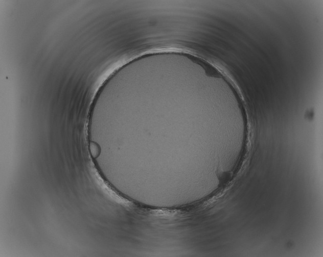 X0000114720805200911181403