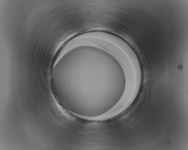 X0000114720806200911181403