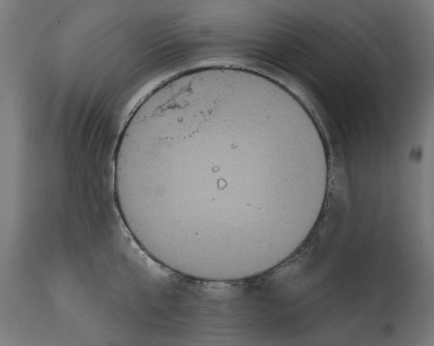 X0000114720807200911181403