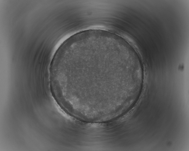 X0000114720808200911181403