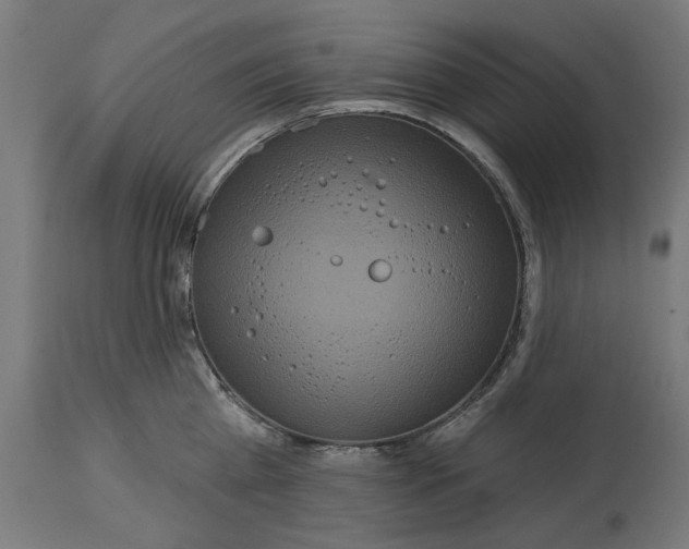 X0000114720809200911181403