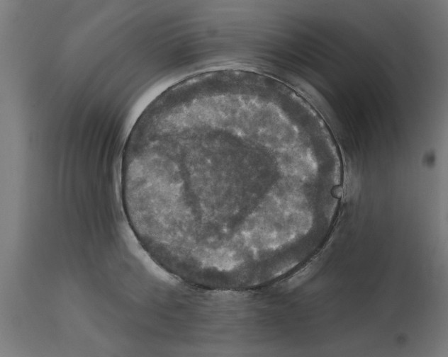 X0000114720812200911181403