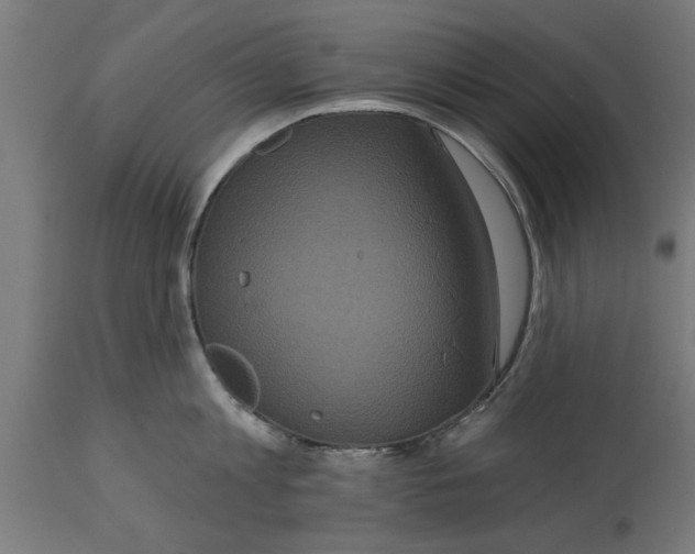 X0000114720813200911181403