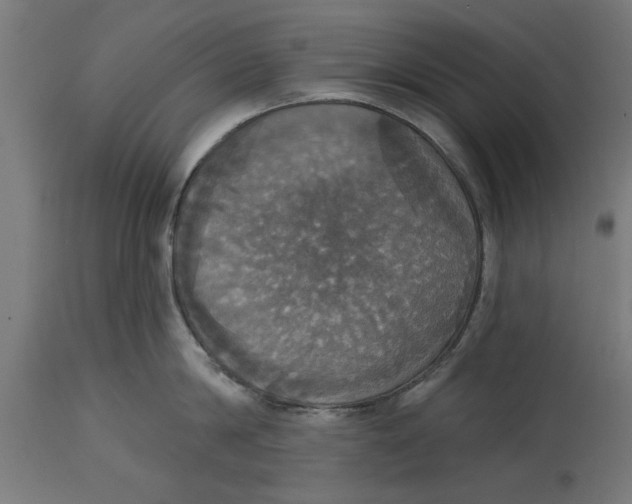 X0000114720814200911181403