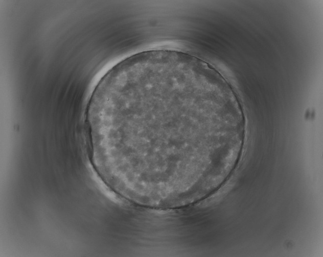 X0000114720816200911181403