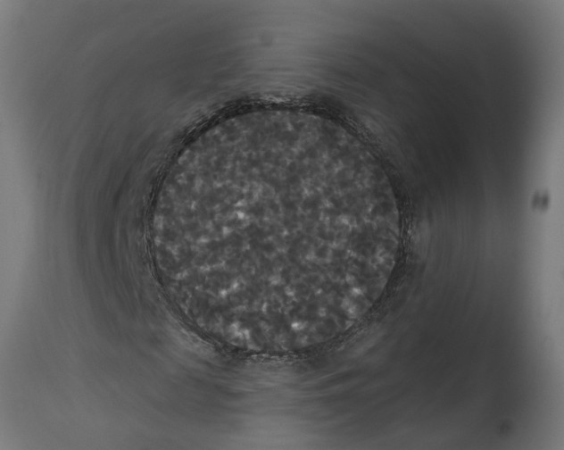 X0000114720817200911181402